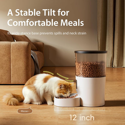 Wide tilted base bowl for comfortable meals